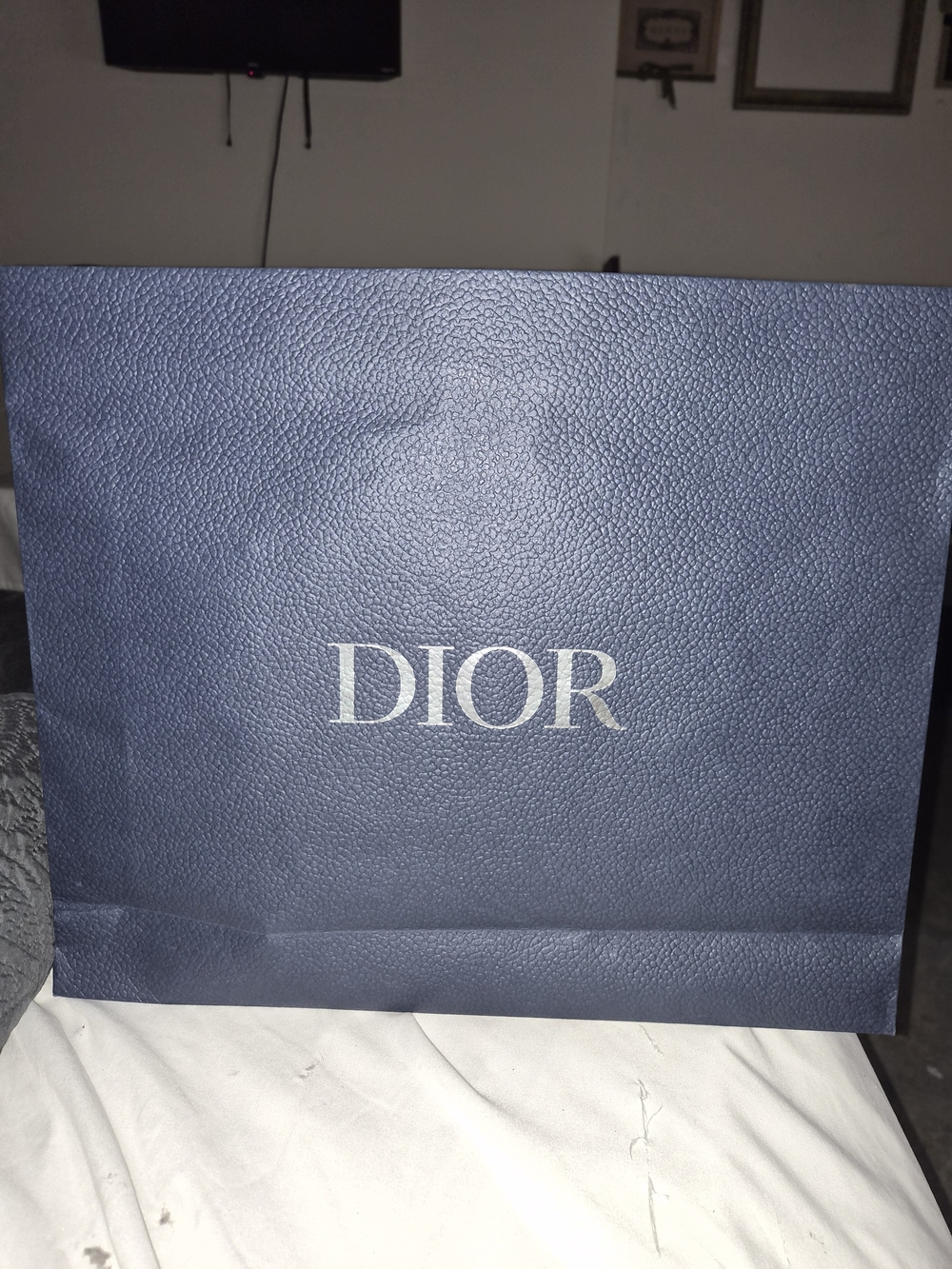 DIOR Large Grained Shopping Bag Silver Logo 16.5x14.5x4
